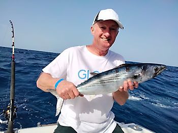 Fishing with the wind. White Marlin Gran Canaria