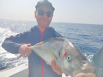 Enkele van de vangsten van vandaag. White Marlin Gran Canaria