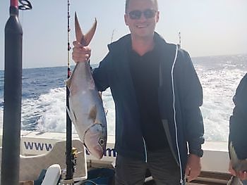 Algunas de las capturas de hoy. White Marlin Gran Canaria