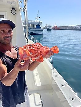 Abendessen. White Marlin Gran Canaria