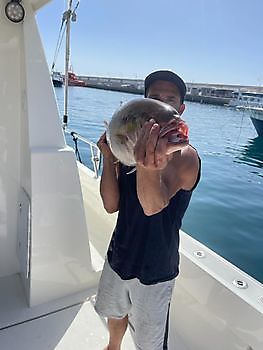 Primer día de pesca. White Marlin Gran Canaria