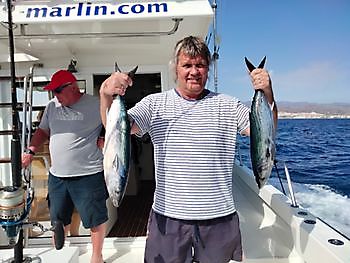 Gedeeld Handvest. White Marlin Gran Canaria