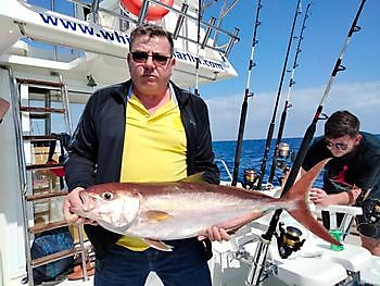 Wieder oben. White Marlin Gran Canaria