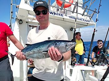 On the top again. White Marlin Gran Canaria