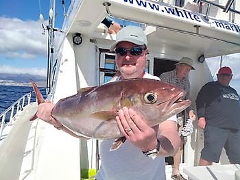 Bilder vom gestrigen Angelausflug. White Marlin Gran Canaria