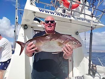 Fotos de la salida de pesca de ayer. White Marlin Gran Canaria