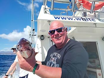 Fotos de la salida de pesca de ayer. White Marlin Gran Canaria