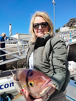 Die heutigen Ergebnisse. White Marlin Gran Canaria