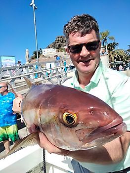 Dagens resultater. White Marlin Gran Canaria