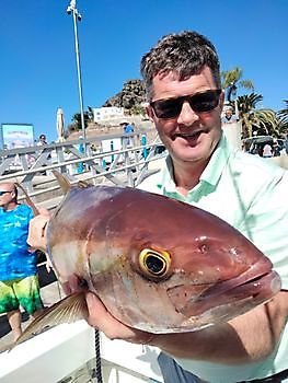 Die heutigen Ergebnisse. White Marlin Gran Canaria