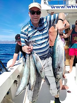 Gedeeld charter op het diepe rif. White Marlin Gran Canaria