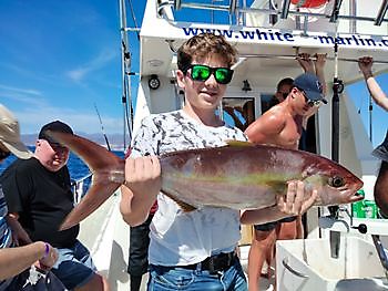 Geteilte Charter auf dem tiefen Riff. White Marlin Gran Canaria