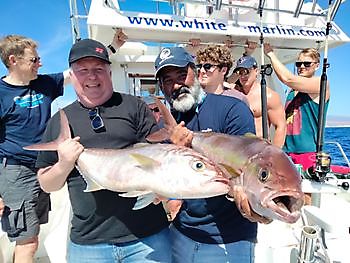 Shared Charter on the deep reef. White Marlin Gran Canaria