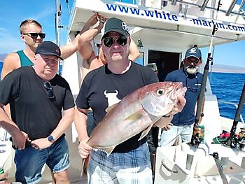 Geteilte Charter auf dem tiefen Riff. White Marlin Gran Canaria