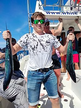 Gedeeld charter op het diepe rif. White Marlin Gran Canaria