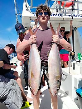 Shared Charter on the deep reef. White Marlin Gran Canaria