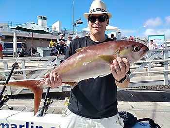 De vangst van vandaag. White Marlin Gran Canaria