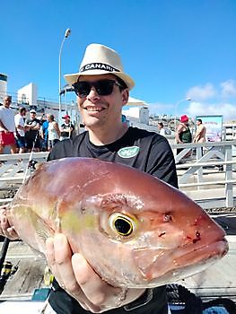 De vangst van vandaag. White Marlin Gran Canaria