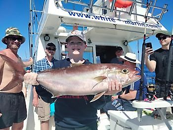 Shared Charter White Marlin Gran Canaria