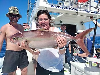 Shared Charter White Marlin Gran Canaria