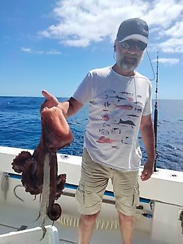 Gemeinsame Charta. White Marlin Gran Canaria