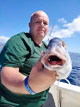 Shared Charter. White Marlin Gran Canaria