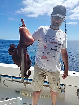 Shared Charter. White Marlin Gran Canaria