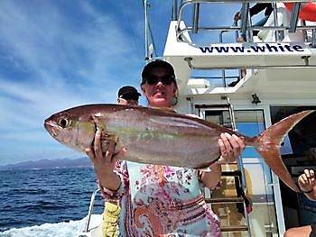 Sterke stromingen. White Marlin Gran Canaria