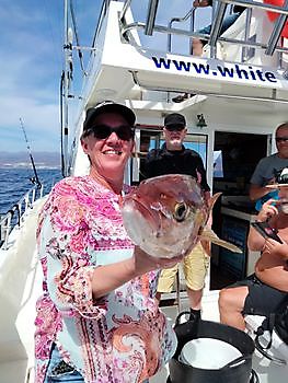 Sterke stromingen. White Marlin Gran Canaria