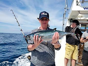 Starke Strömungen. White Marlin Gran Canaria