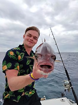 Pescando de nuevo. White Marlin Gran Canaria