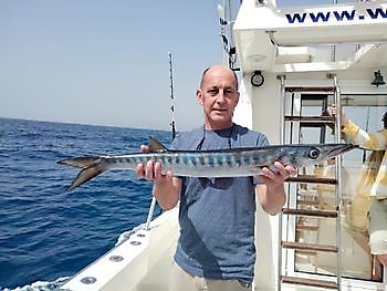 Pescando de nuevo. White Marlin Gran Canaria