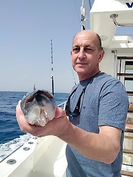 Dentones rosas. White Marlin Gran Canaria