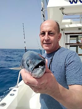 Dentones rosas. White Marlin Gran Canaria