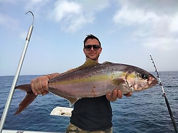Dentones rosas. White Marlin Gran Canaria