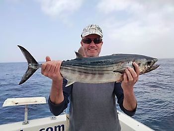 Shared Charter. White Marlin Gran Canaria