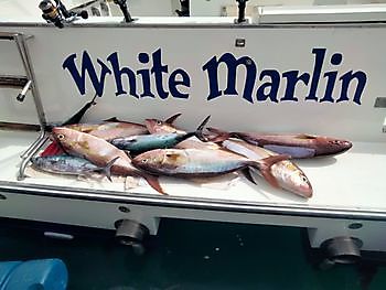 El equipo A. White Marlin Gran Canaria