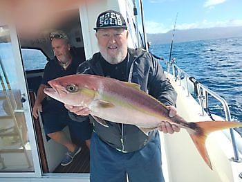 Pescando de nuevo. White Marlin Gran Canaria