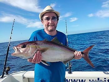 Fishing again. White Marlin Gran Canaria