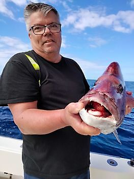 Pink Dentons. White Marlin Gran Canaria