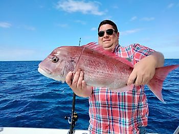 Pink Dentons. White Marlin Gran Canaria