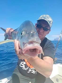 Rosa Dentons. White Marlin Gran Canaria