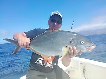 Pink Dentons. White Marlin Gran Canaria