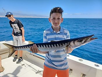 Marlín azul White Marlin Gran Canaria