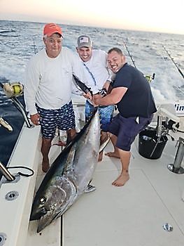 Tonijn White Marlin Gran Canaria