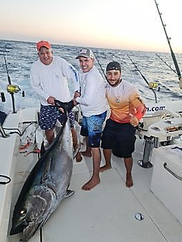 Thunfisch White Marlin Gran Canaria