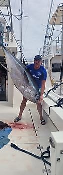 Tonijn vissen. White Marlin Gran Canaria