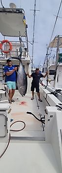 Tuna fishing. White Marlin Gran Canaria