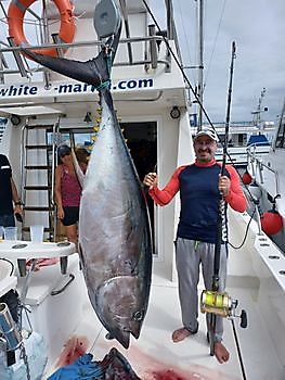 Tonijn vissen. White Marlin Gran Canaria