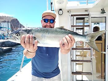 Bodem vissen. White Marlin Gran Canaria